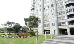 BORA BORA en Roosevelt 6091 1 grande