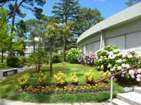 Arcobaleno en Mansa 3030 1 grande