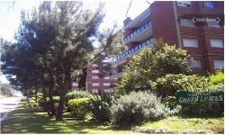 Green Leaves en Mansa 3032 1 grande