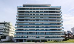 Blue Marlin en Brava 4637 1 grande