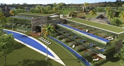 Syrah en Punta Ballena 4607 1 grande